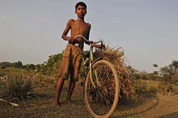 干草を自転車に積んで運ぶ少年。