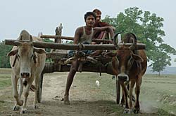 牛車を操る2人の若人。