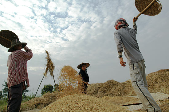 籾殻を風選にかける農民たち（シャン州西部、2005年）