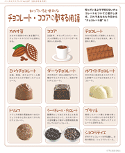 知っていると便利な チョコレート・ココアに関する用語