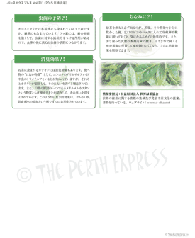 緑茶の健康効果あれこれ（2）