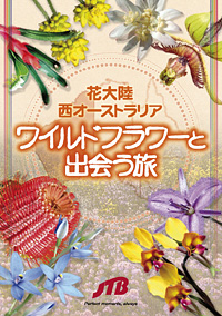 ワイルドフラワーを日本語で紹介したブック