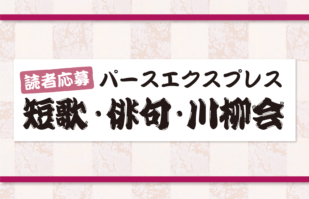 【中古】 菊膾 句集/ウエップ/加藤早苗（俳句） 中古】 菊膾 句集/ウエップ/加藤早苗（俳句）